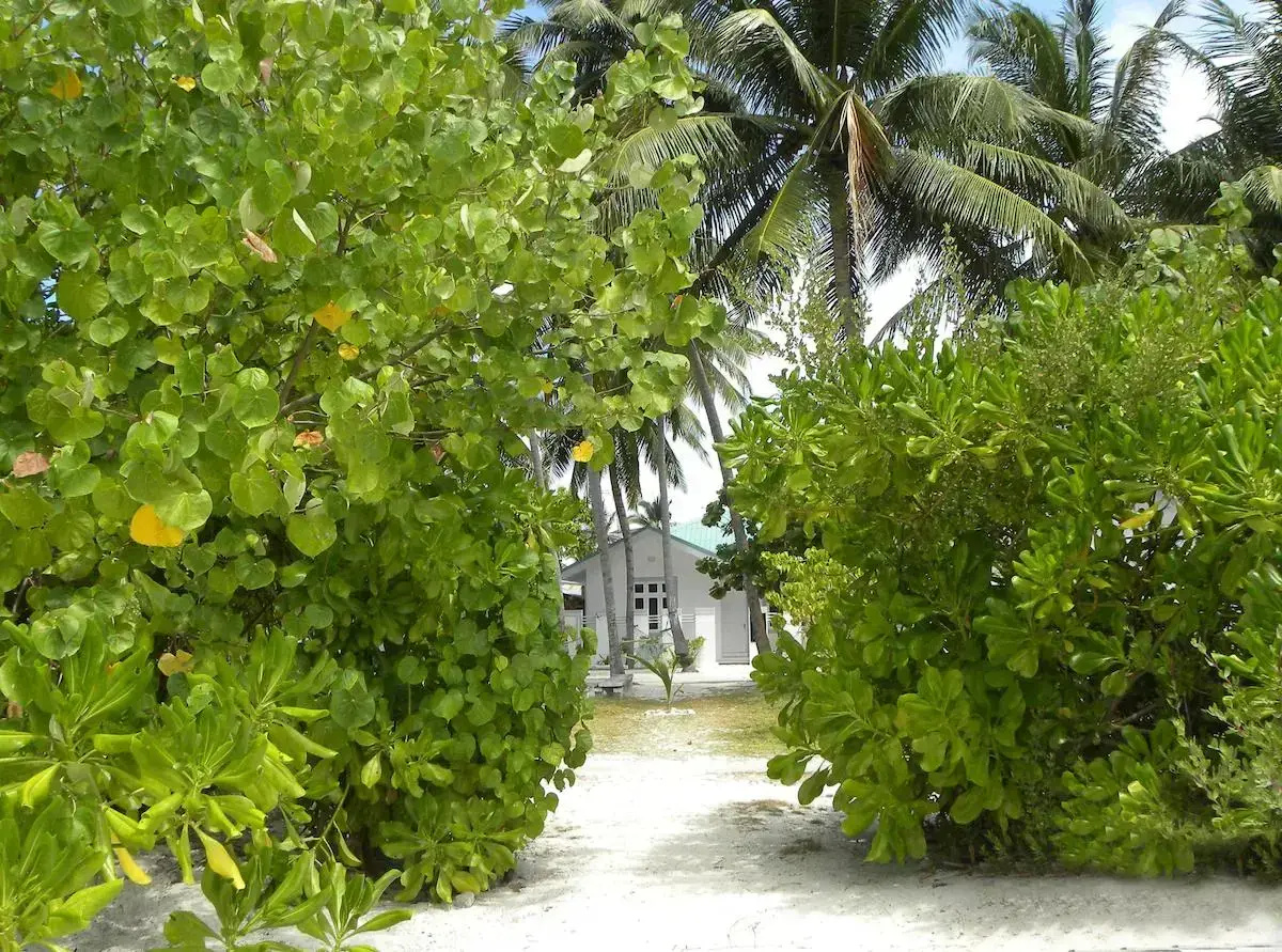 Foto - Vaali Maldives Island Escapes & Dive