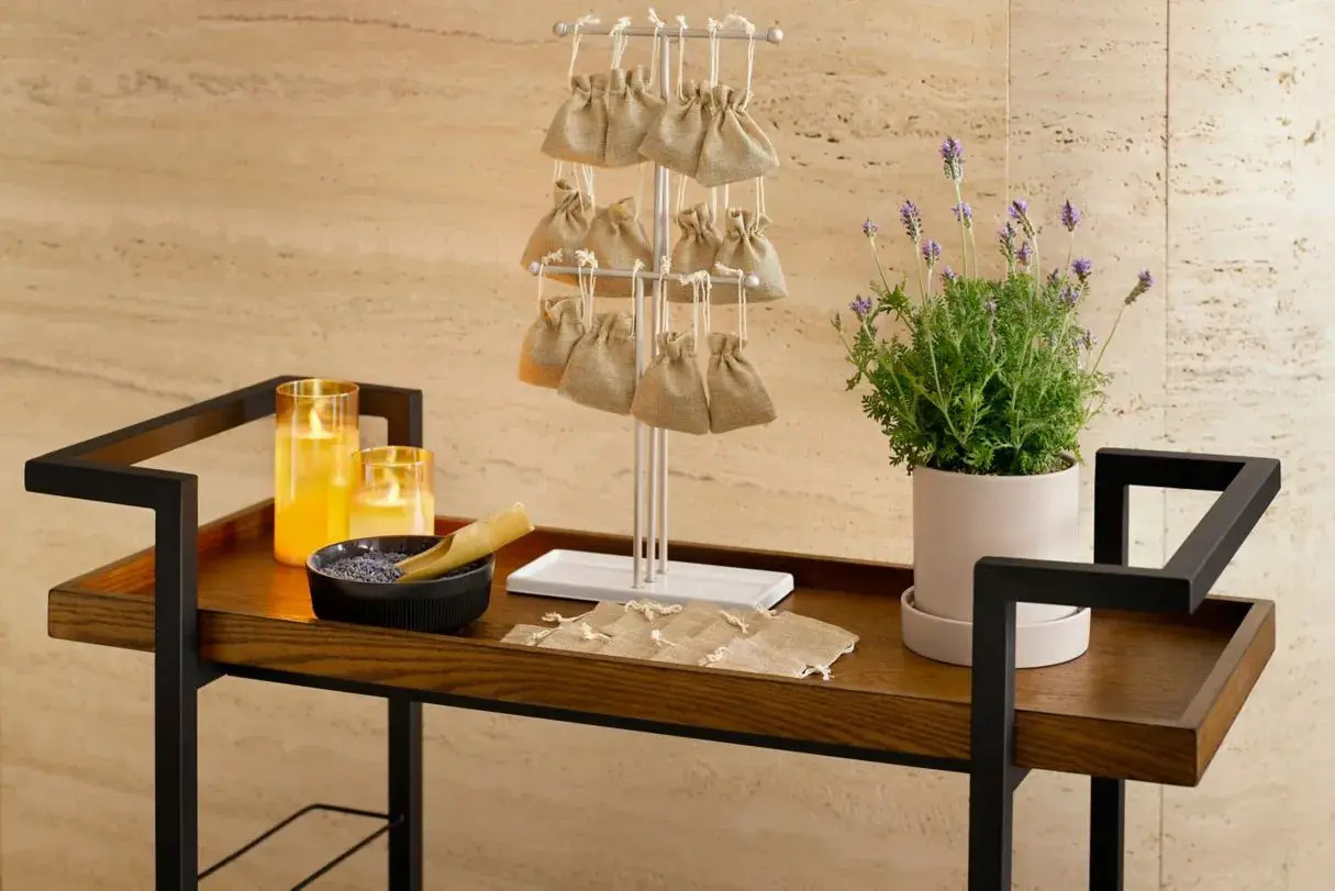 Foto - AC Hotel by Marriott Seoul Gangnam