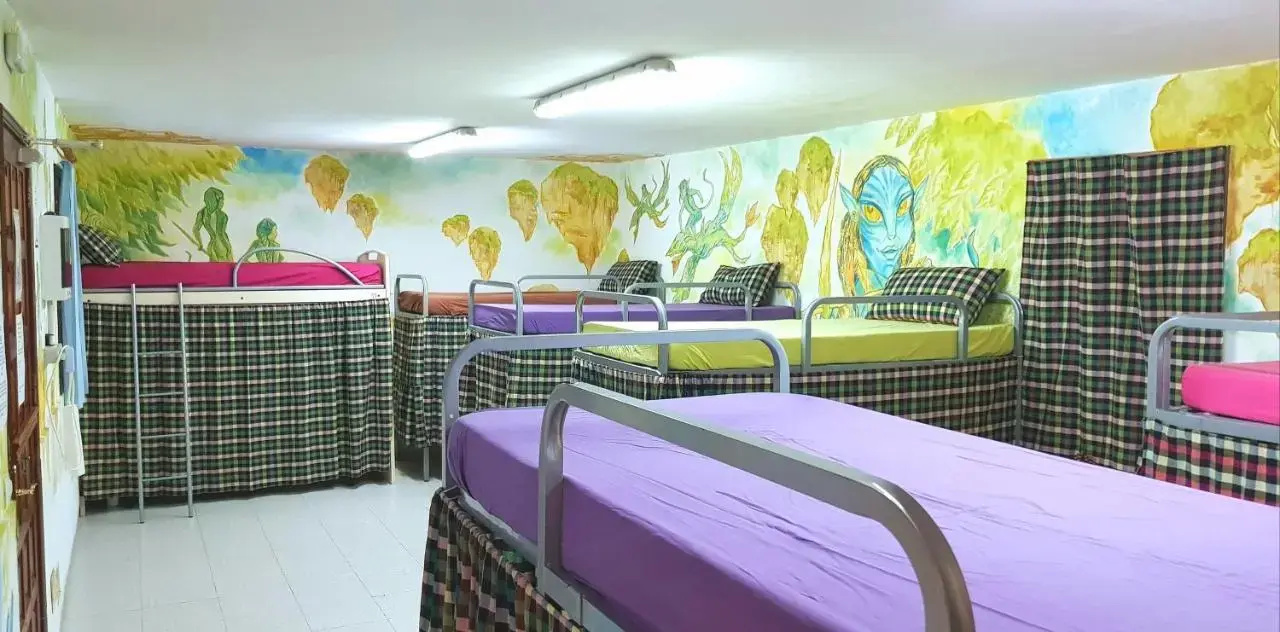 Photo - Hostel Los Duendes del Sur