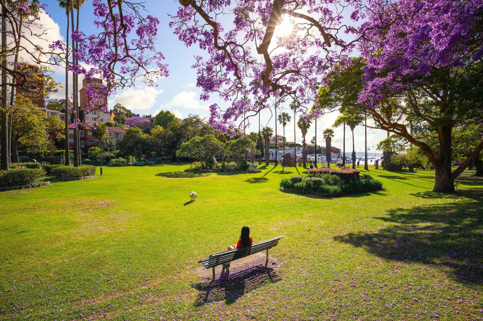 Photo - Carnarvon Lodge Kirribilli, Sydney