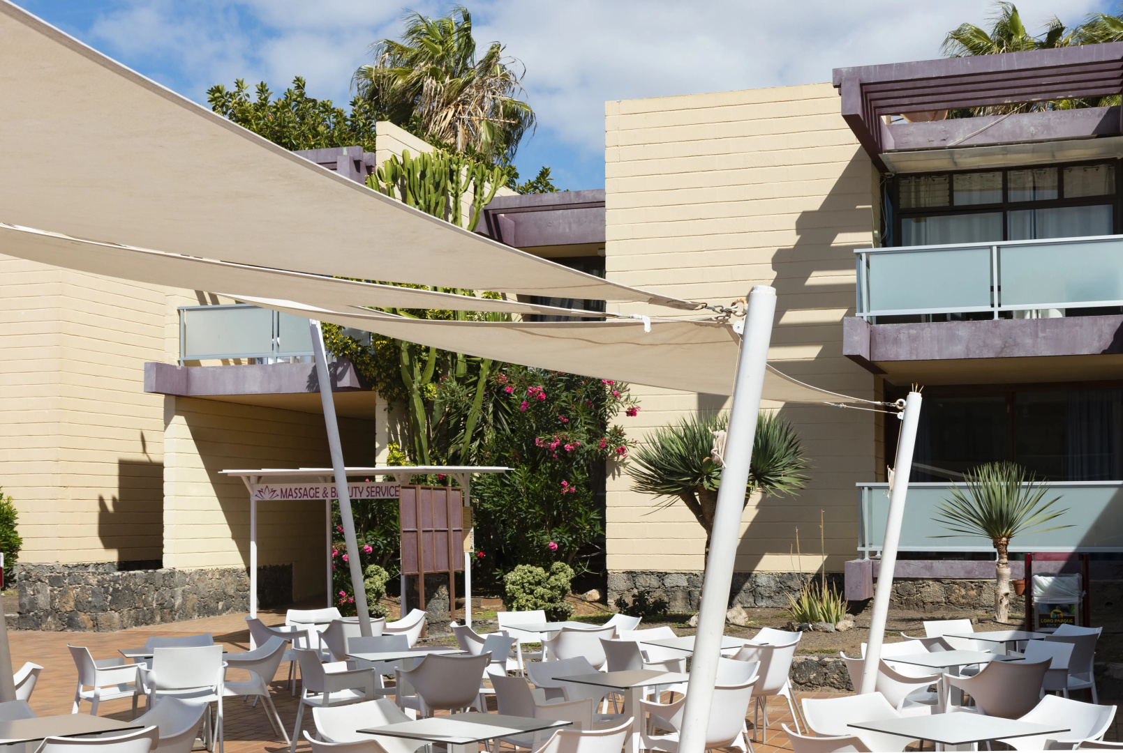 Foto - Hotel Palia Don Pedro