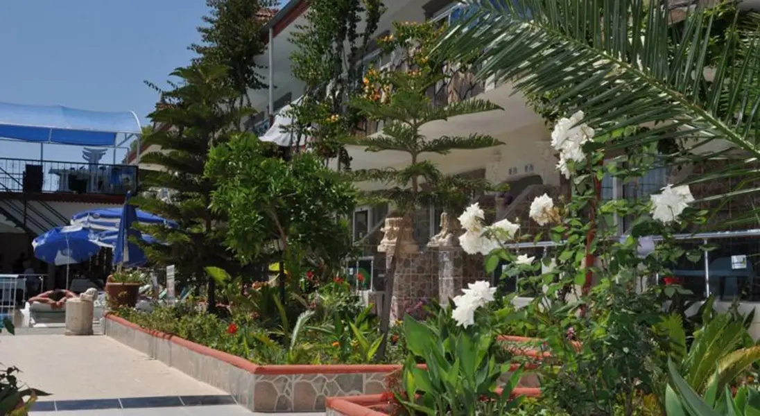 Foto - Sunberk Hotel