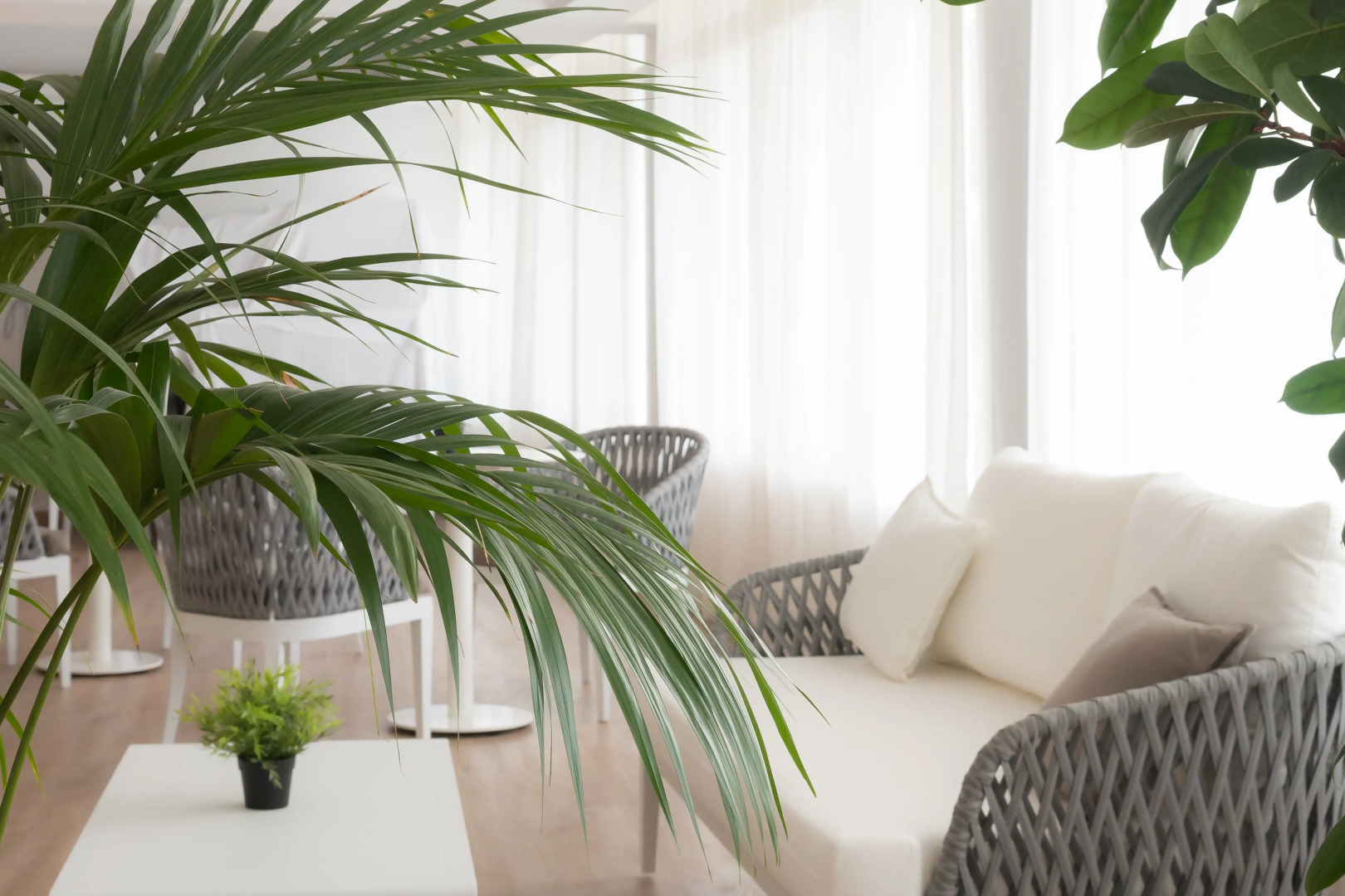 Photo - Osprey Menorca Hotel