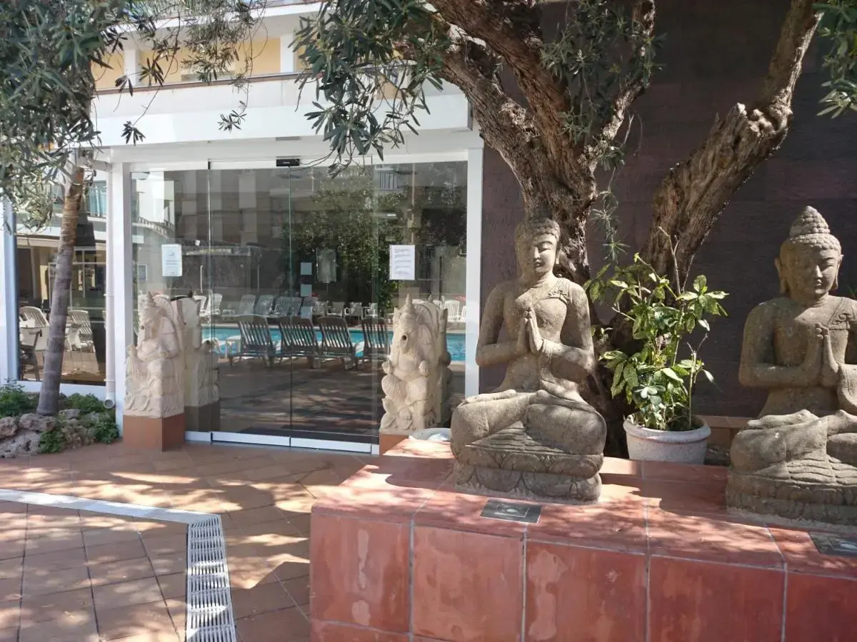 Foto - Hotel la Palmera & Spa