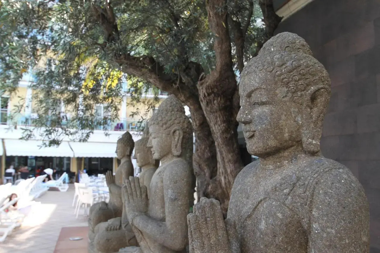 Foto - Hotel la Palmera & Spa