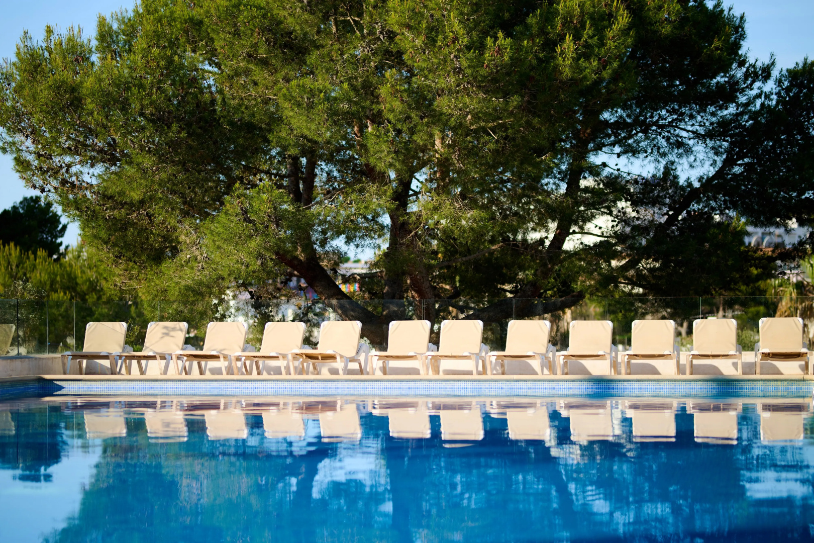 Photo - AluaSun Cala Antena – All Inclusive