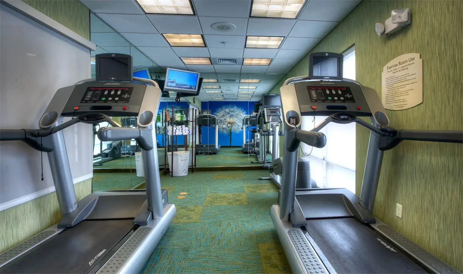 Foto - SpringHill Suites by Marriott - Tampa Brandon