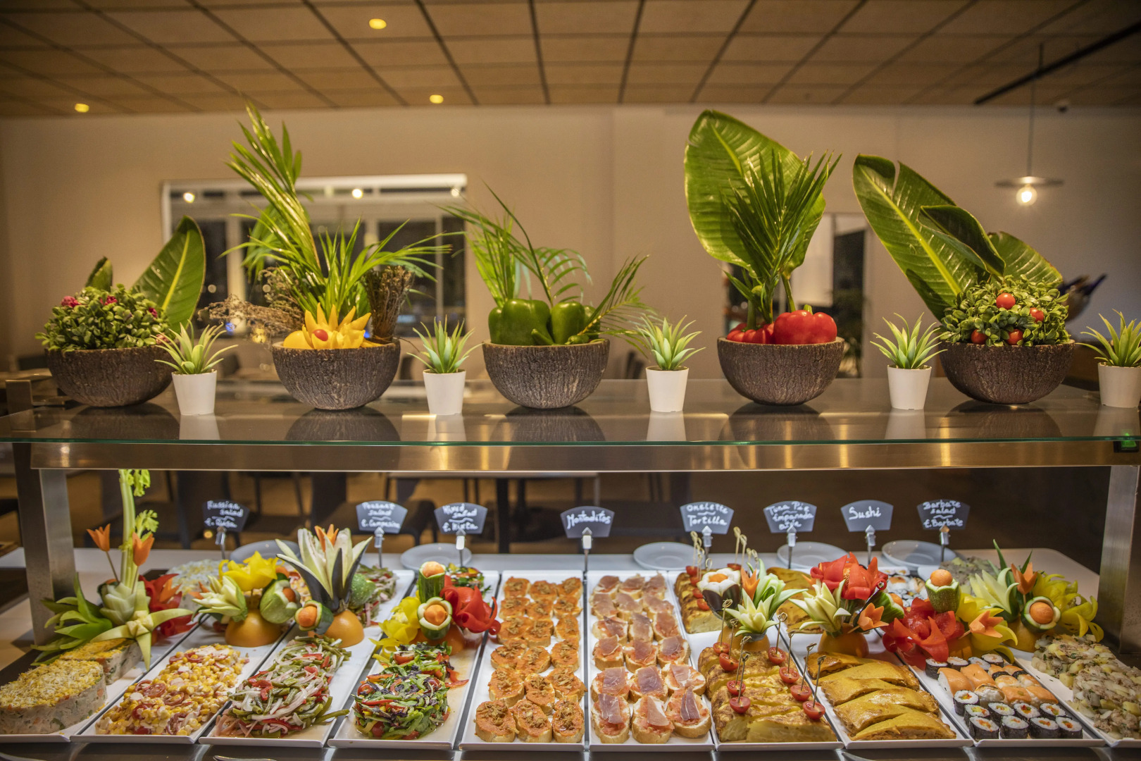 Foto - Oasis Lanz Beach Mate