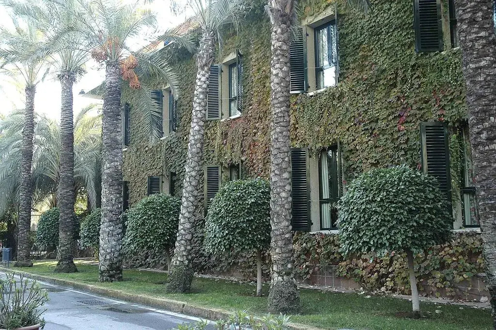 Foto - Port Jardín Milenio