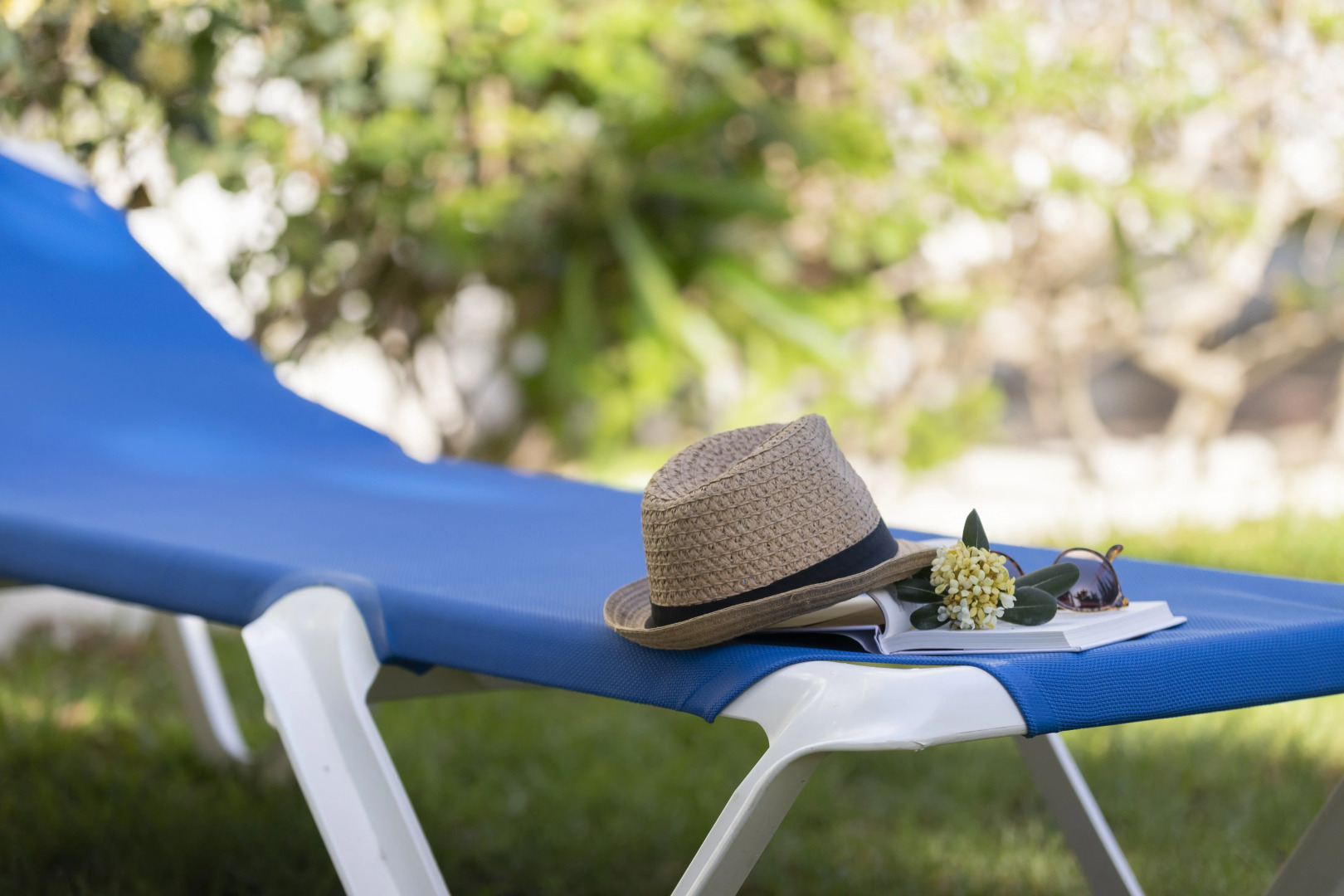 Foto - Hotel Palia Las Palomas