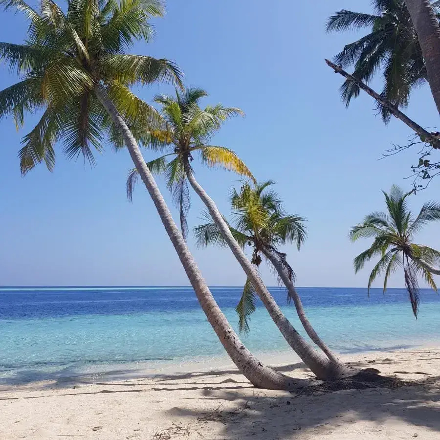 Foto - Vaali Maldives Island Escapes & Dive