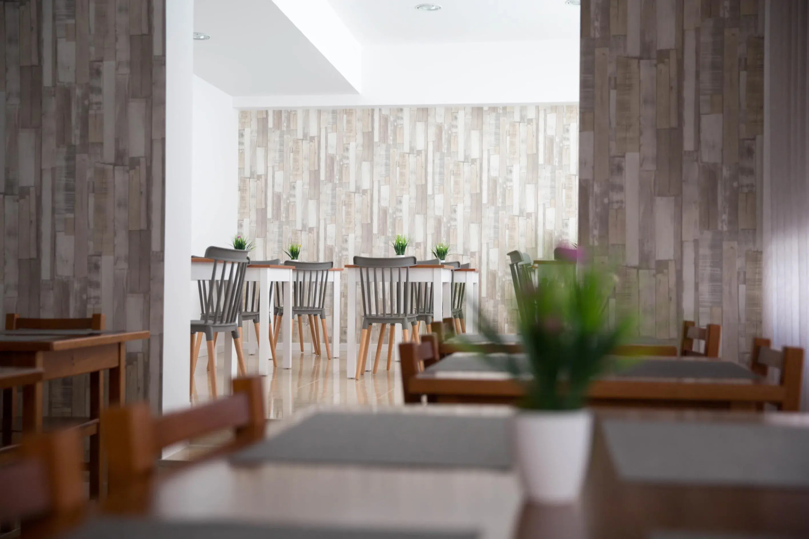 Foto - Hotel Ancora Mar