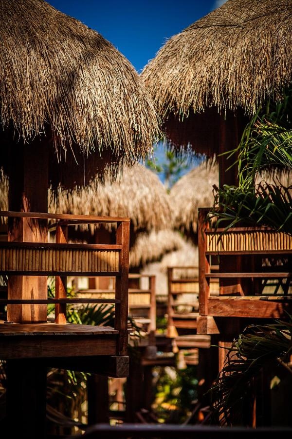 Hotel Carolina Bacalar, Bild 12 von 24