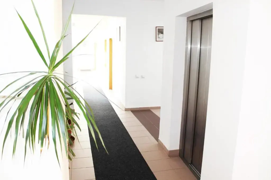 Foto - Elizeu Hotel