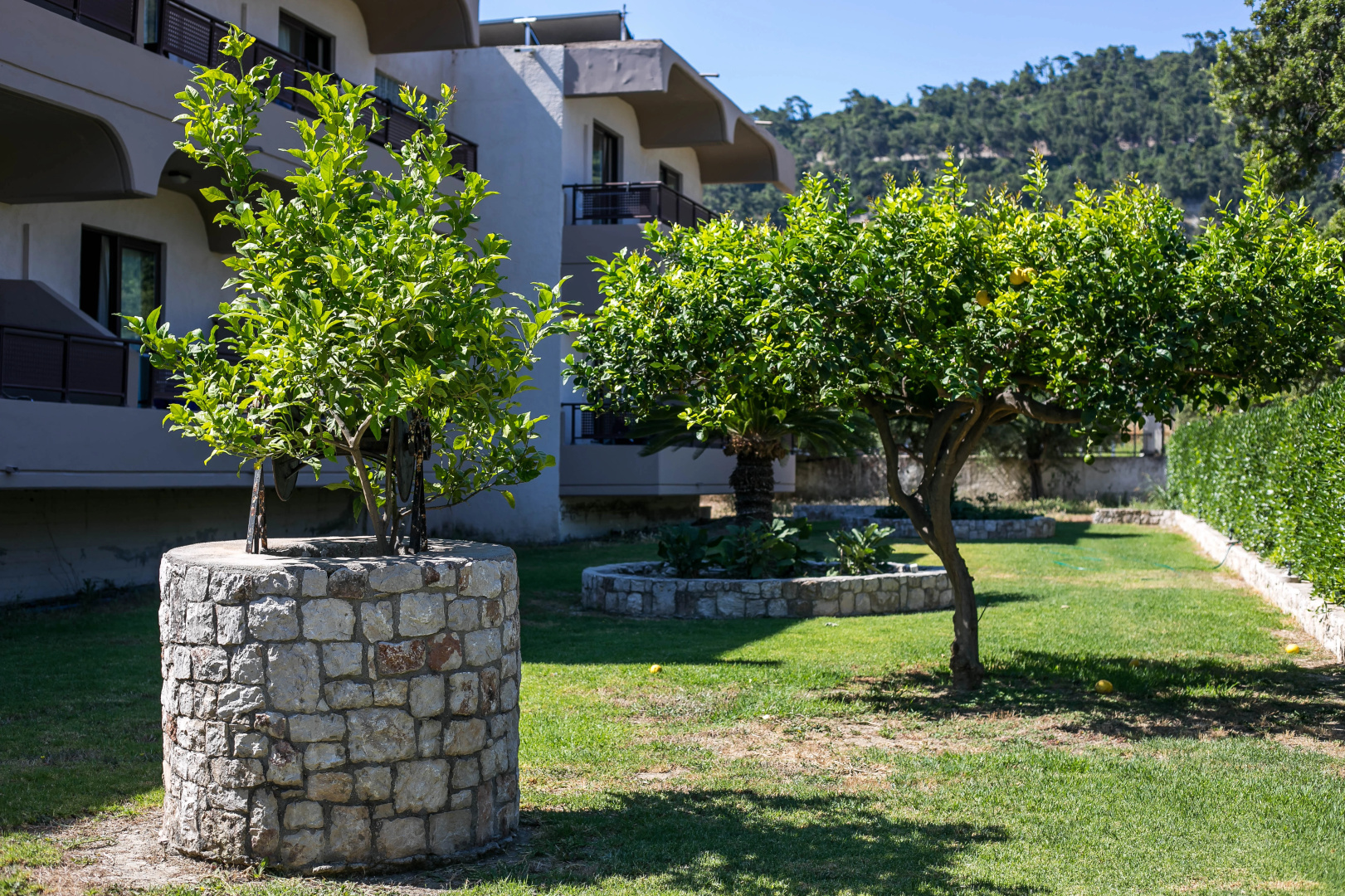 Photo - Santa Helena Hotel Ialysos