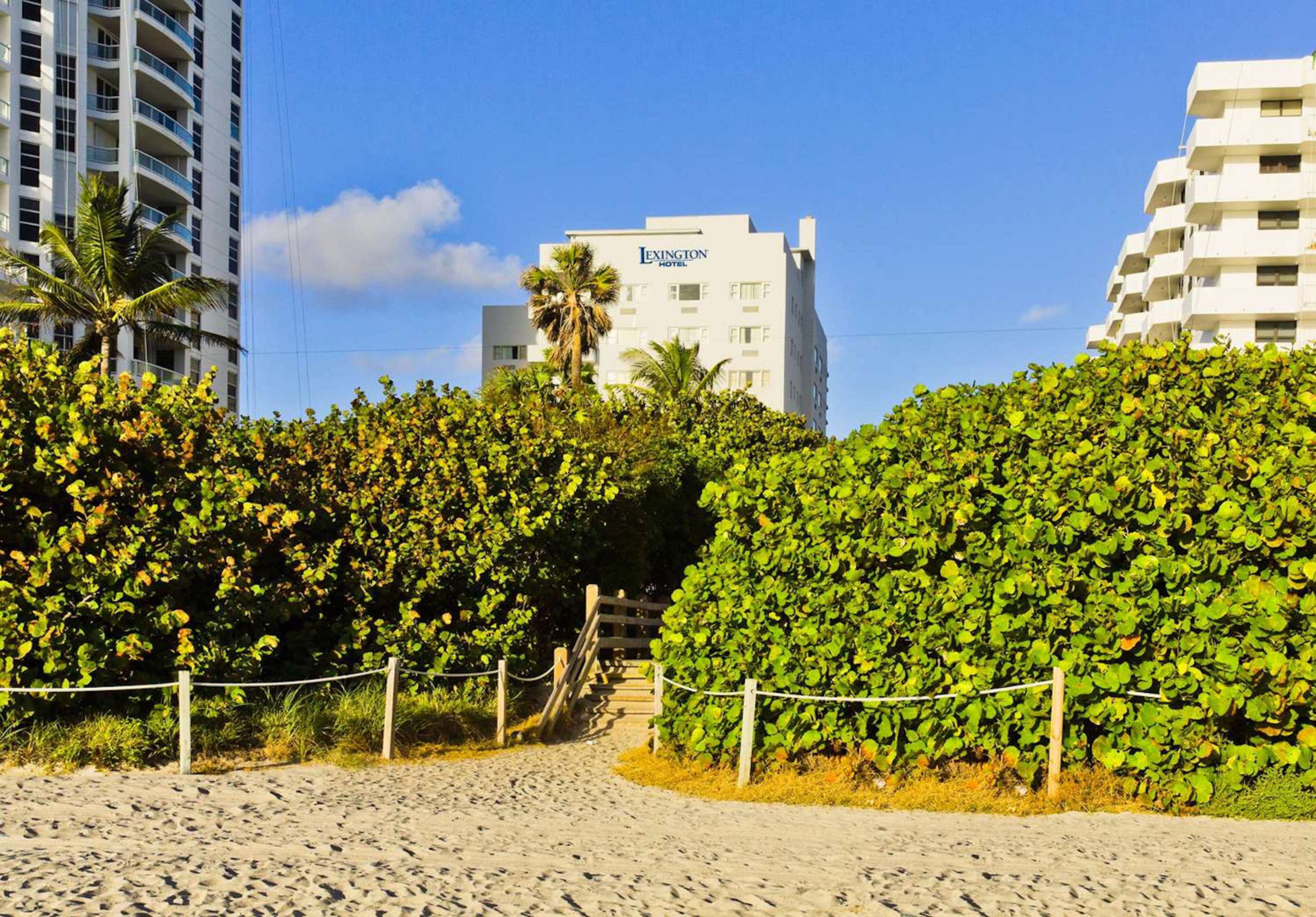Photo - Lexington by Hotel RL Miami Beach