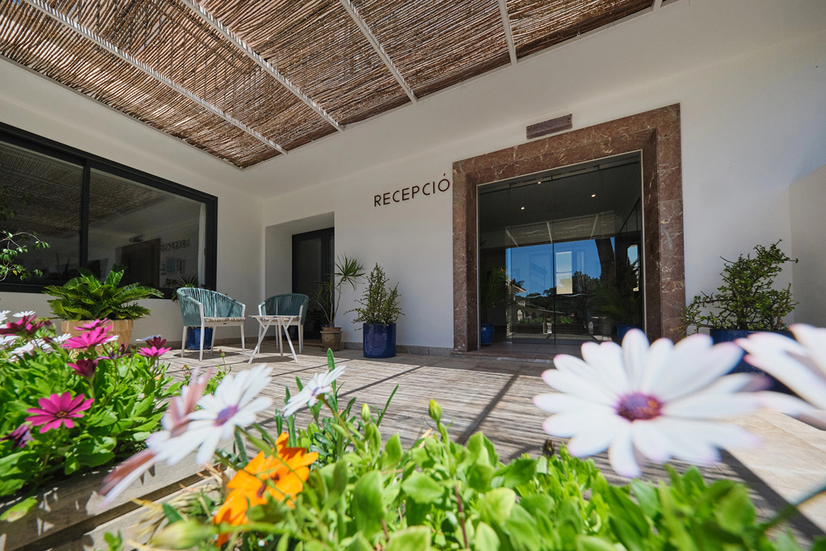 Foto - Hotel Playa Mondrago