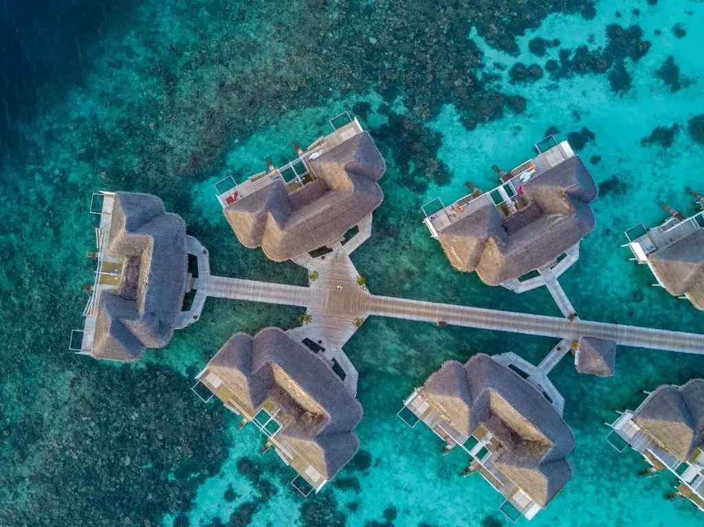 Photo - Machchafushi Island Resort & Spa Maldives, The Centara Collection