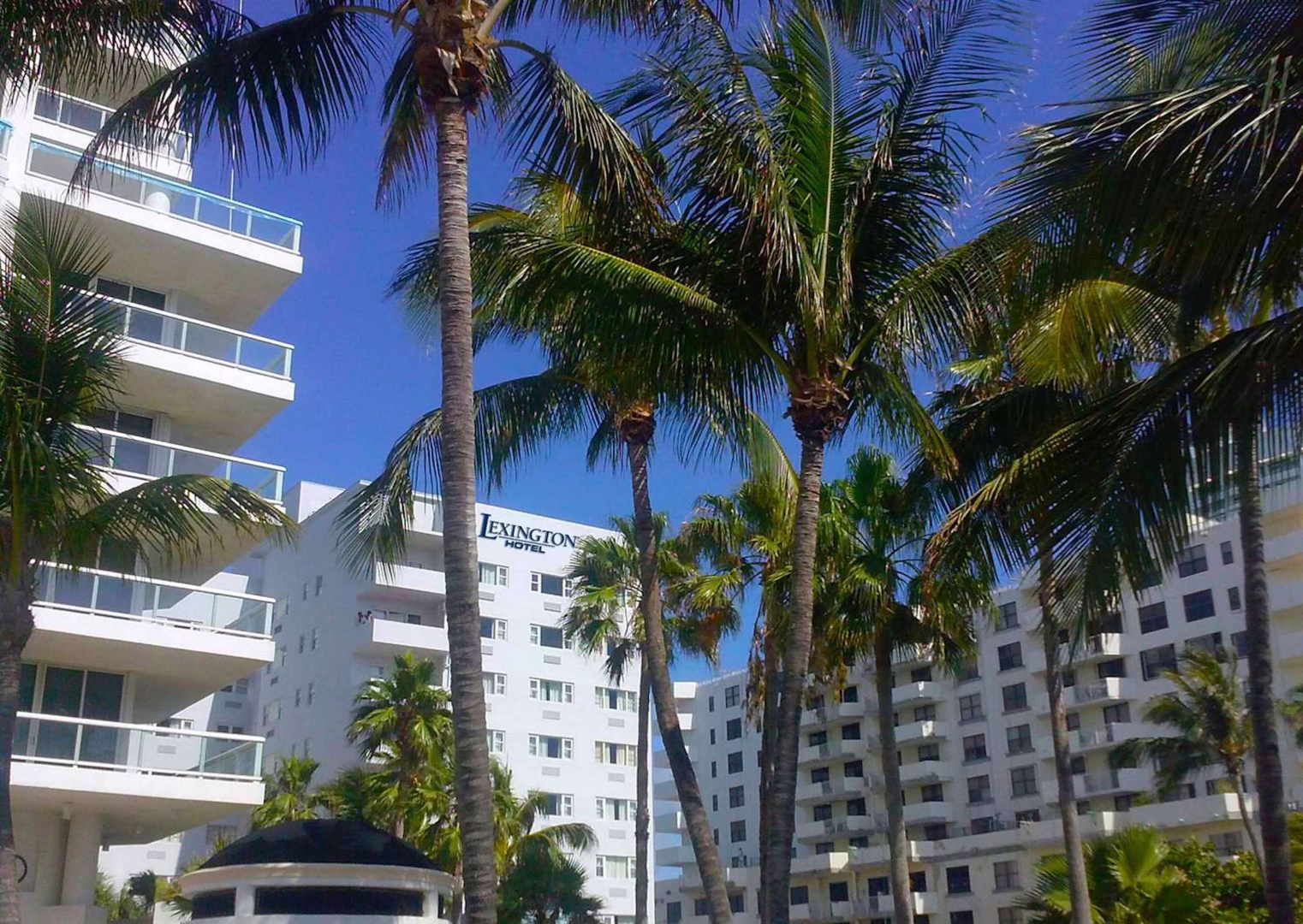 Photo - Lexington by Hotel RL Miami Beach
