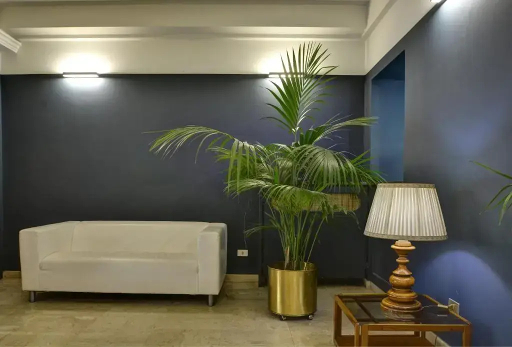 Foto - Hotel Italia