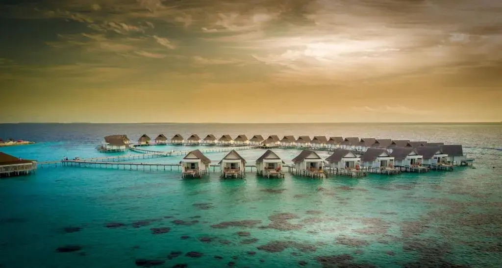 Photo - Machchafushi Island Resort & Spa Maldives, The Centara Collection