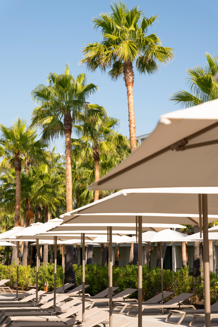 Photo - Wine & Books by the Sea, Algarve Resort