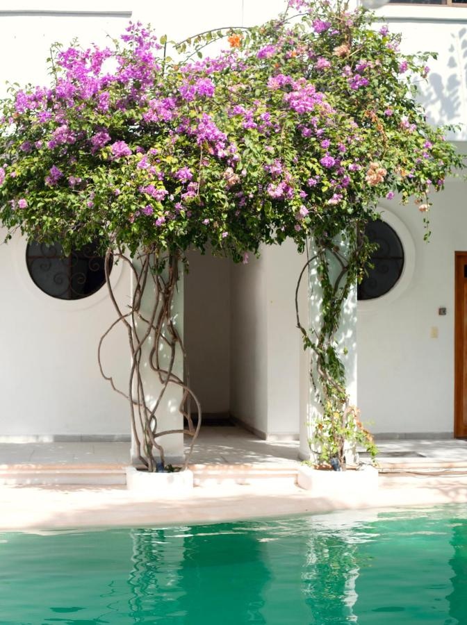 Sonido Del Mar Hotel and Yoga Loft, Bild 1 von 30