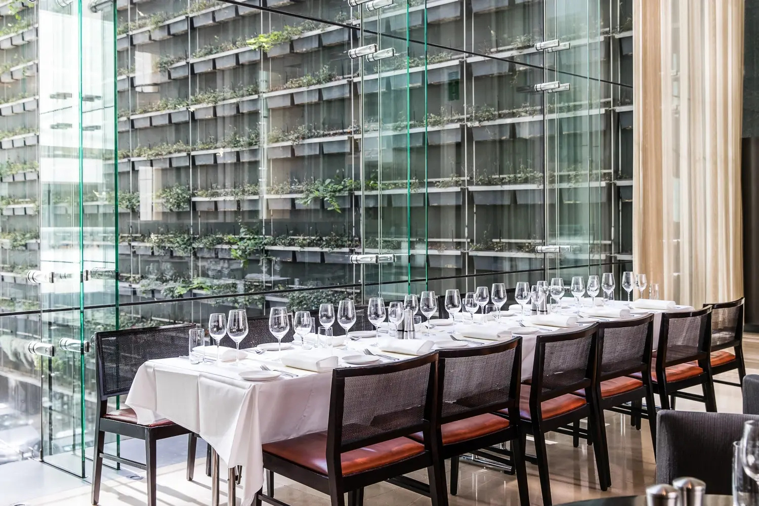 Foto - Hilton Sydney