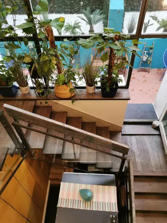 Foto - Hotel Victoria