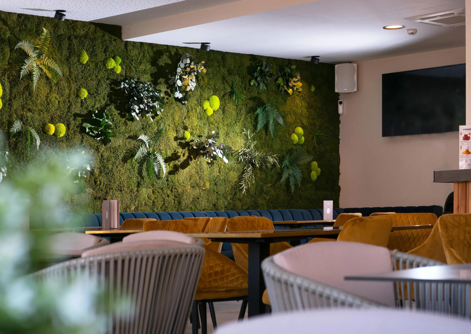 Foto - INN Mallorca Aparthotel