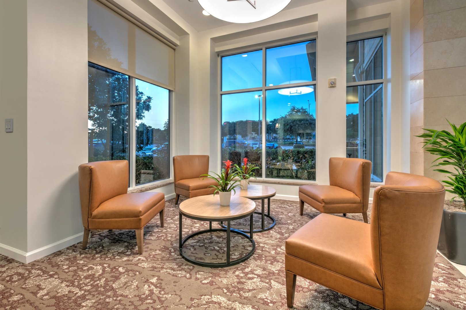 Photo - Hilton Garden Inn Dallas Arlington