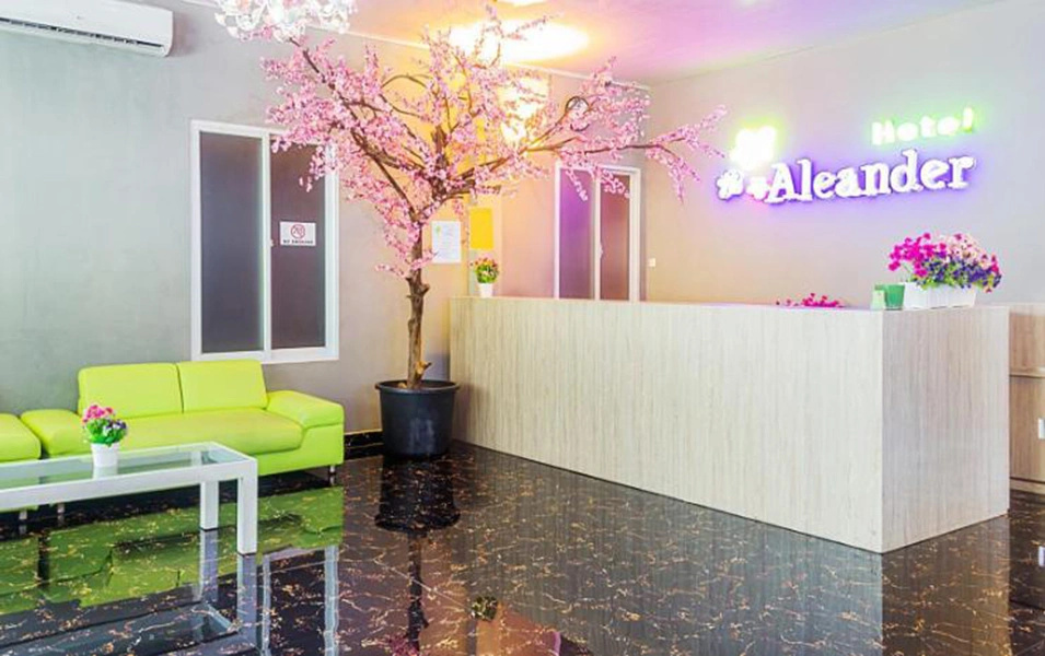 Foto - Hotel Aleander