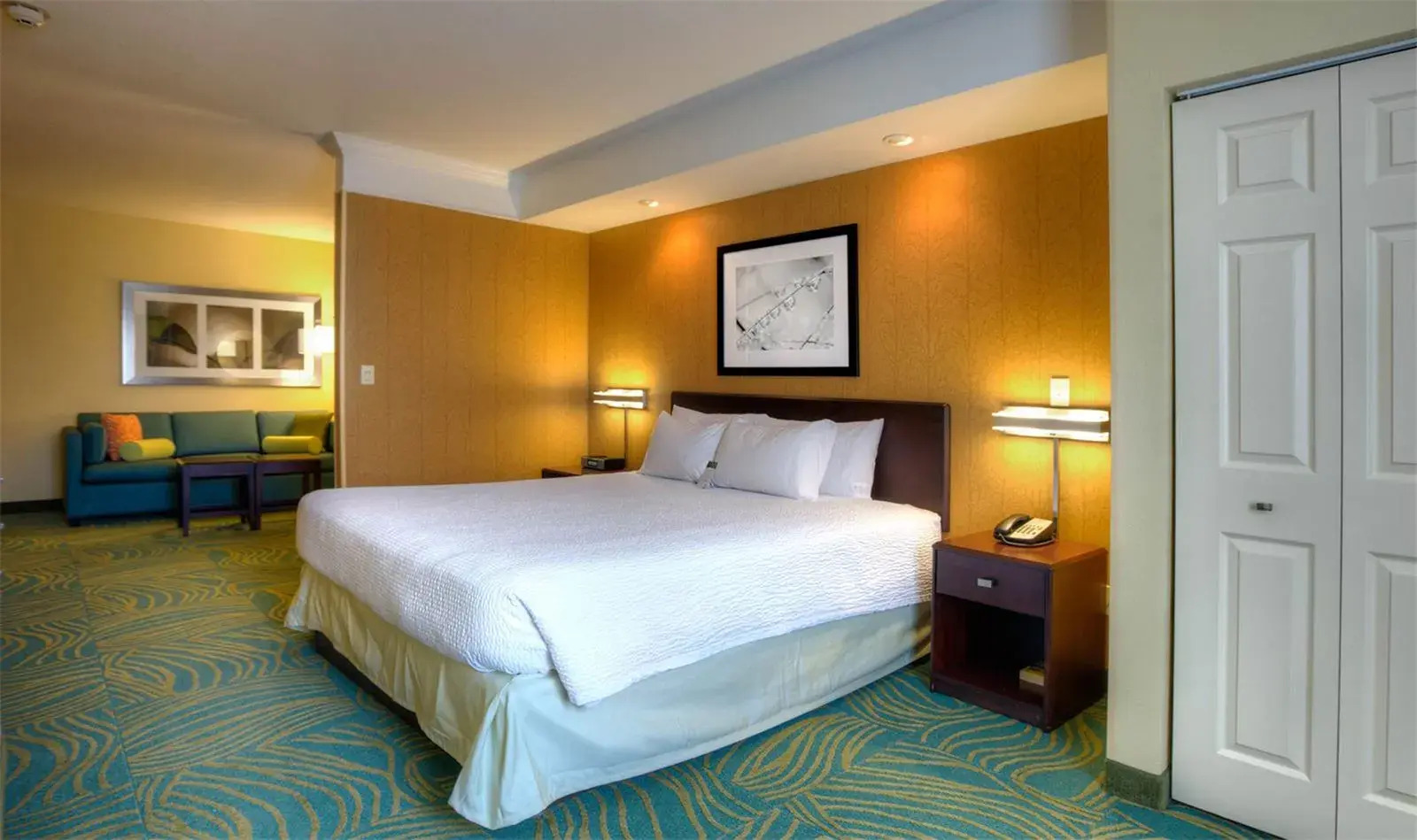 Foto - SpringHill Suites by Marriott - Tampa Brandon