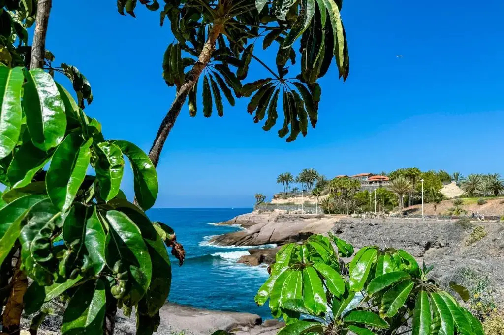 Photo - Apartamentos Parque del Sol