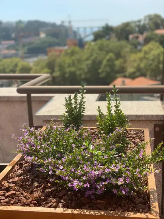 Photo - Vilar Oporto Hotel