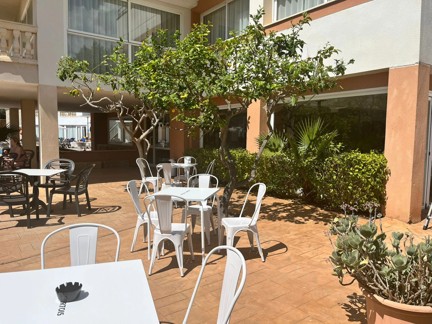 Foto - Canyamel Classic & Spa, solo Adultos