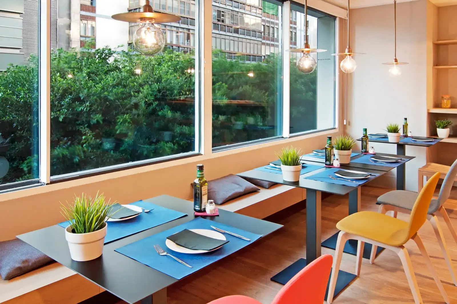 Photo - One Shot Colón