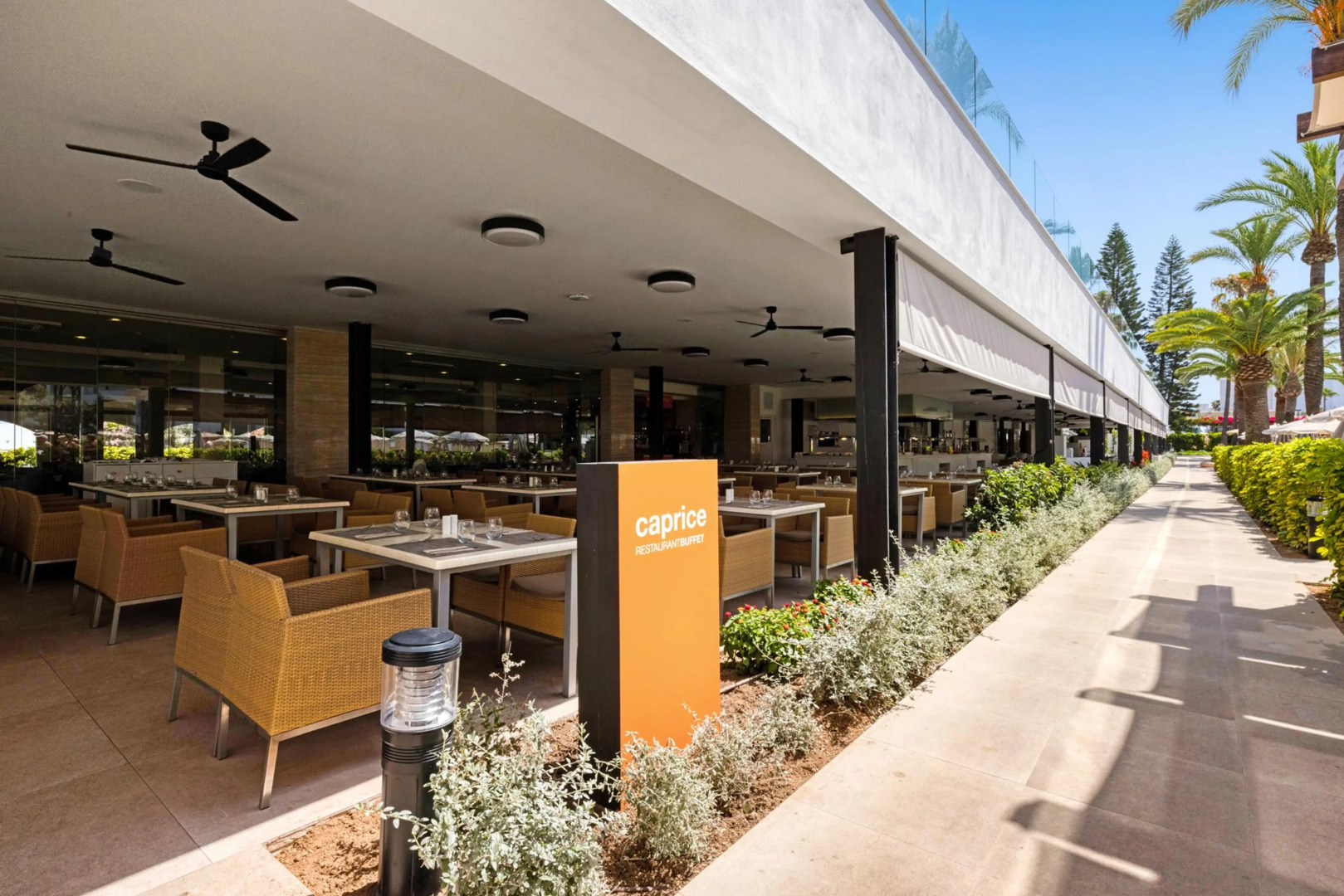 Photo - VIVA Sunrise