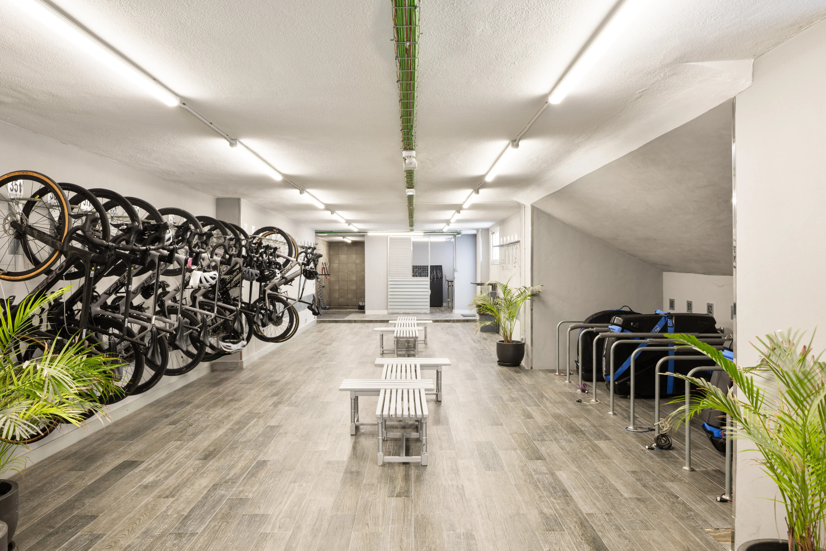 Foto - Hotel Eden Palma Playa Adults Only