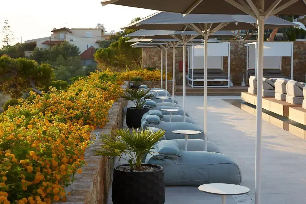 Foto - Vincci EverEden