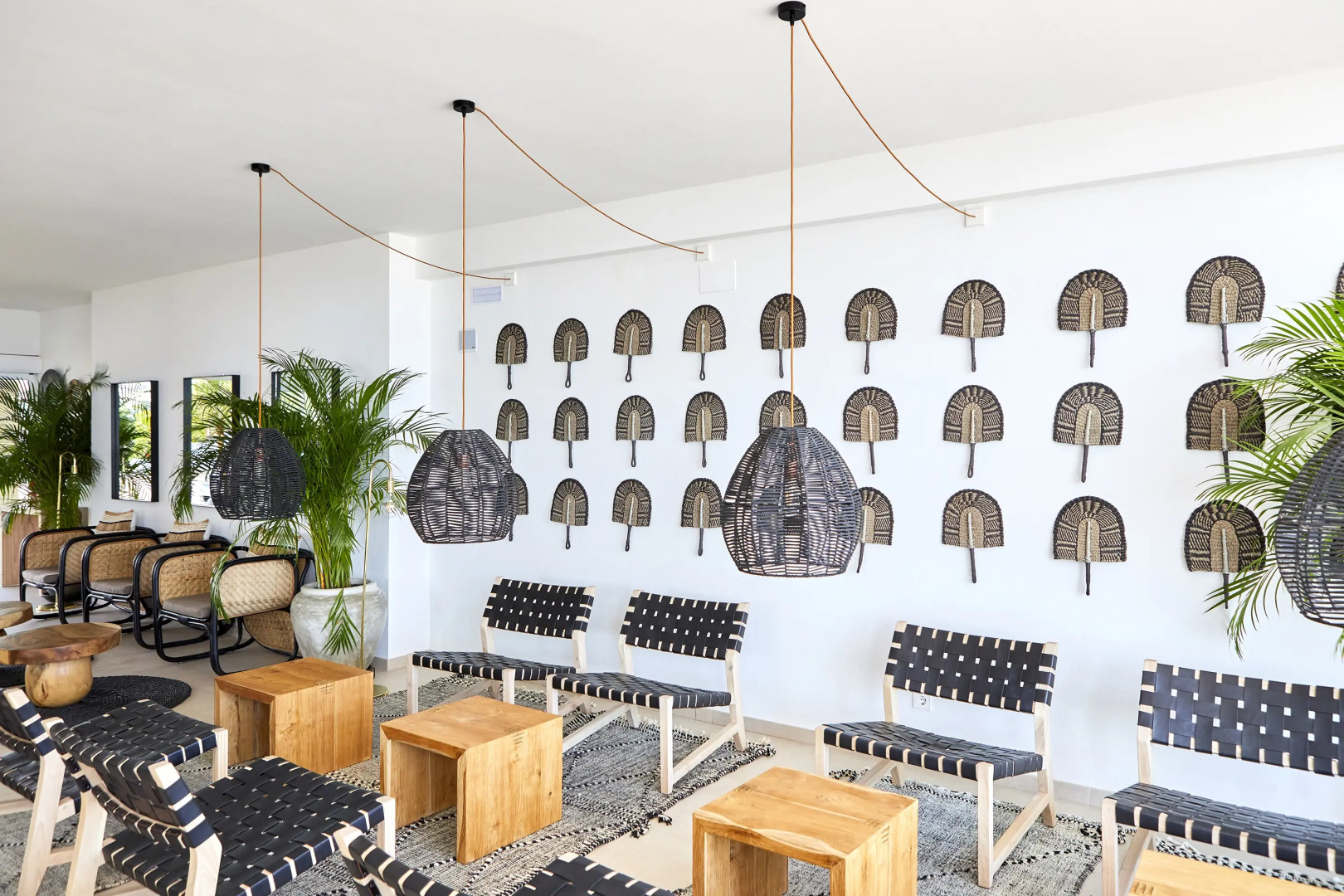 Photo - FERGUS Conil Park