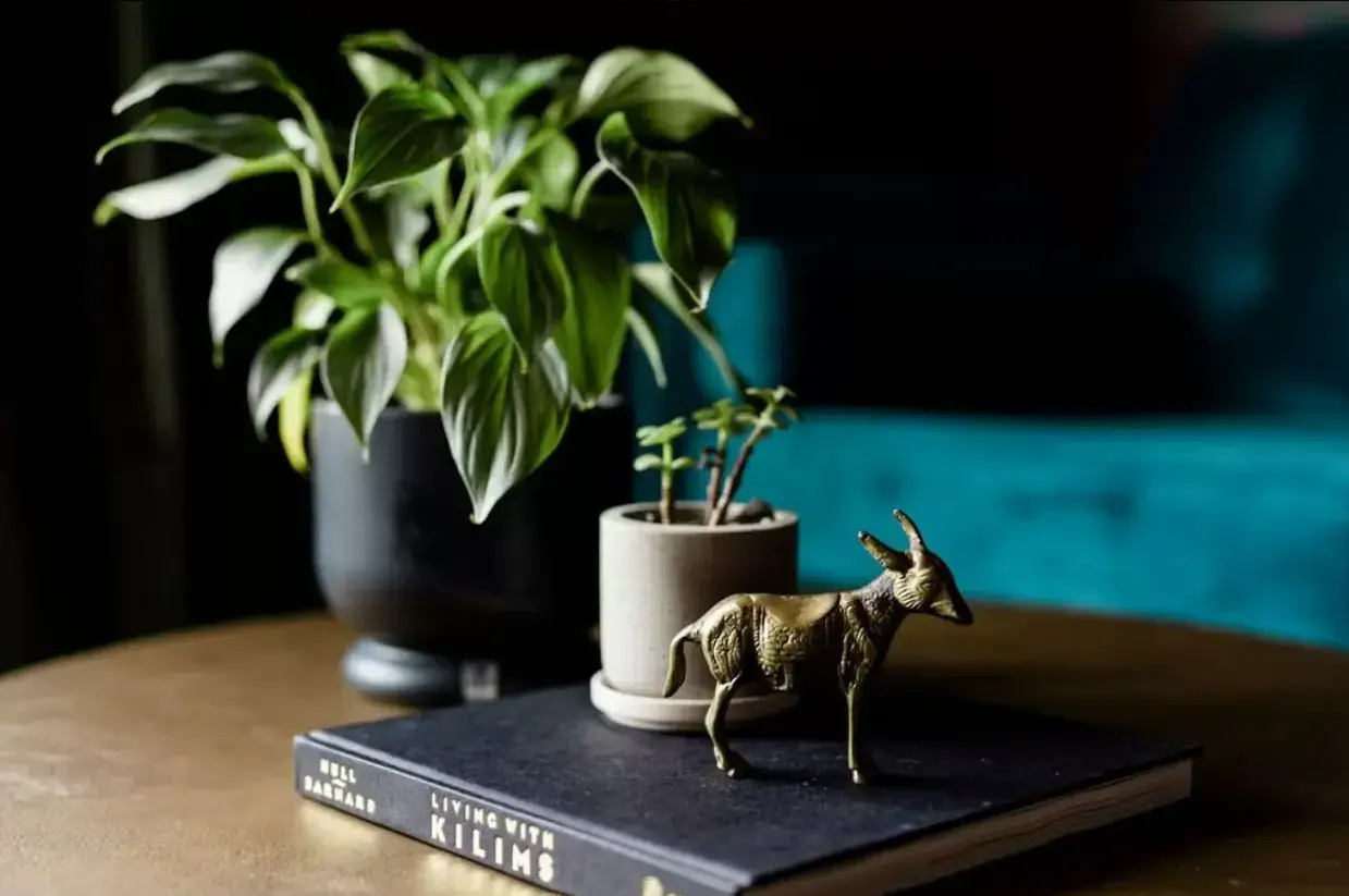 Foto - The Frances Modern Inn