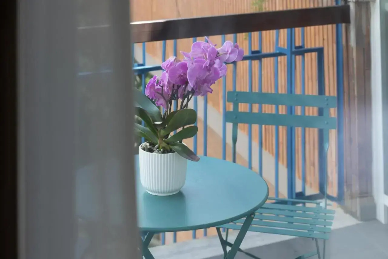 Foto - Zaccardi Roof Garden