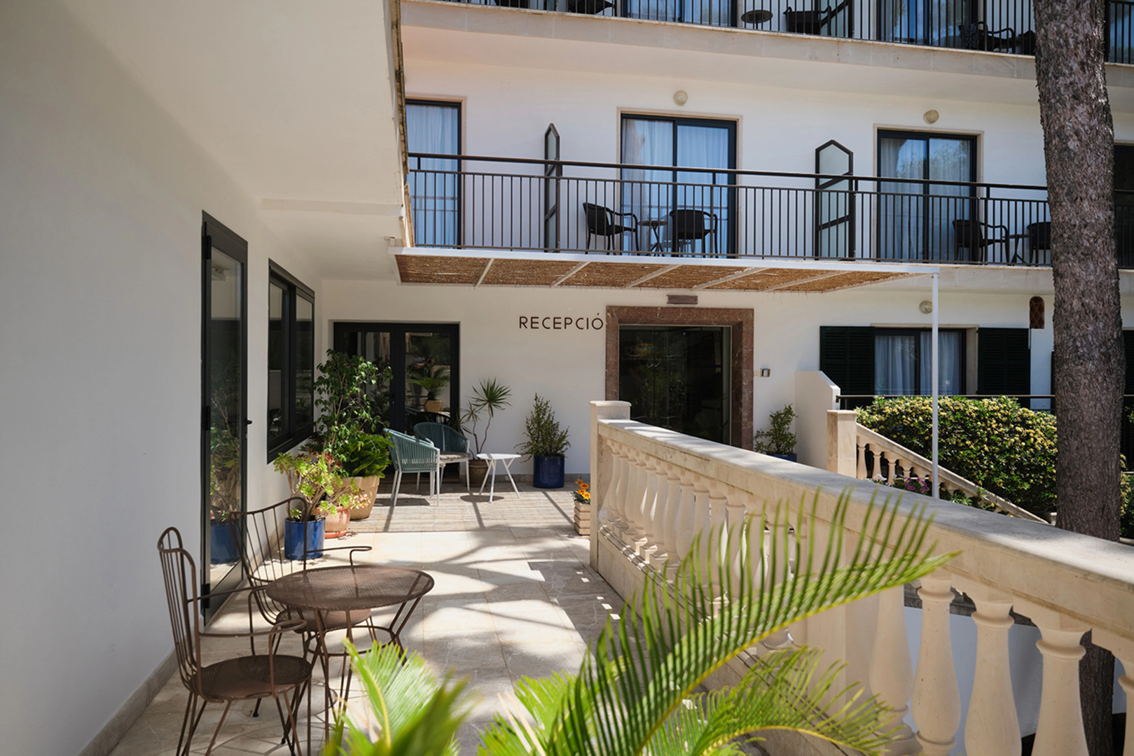 Foto - Hotel Playa Mondrago