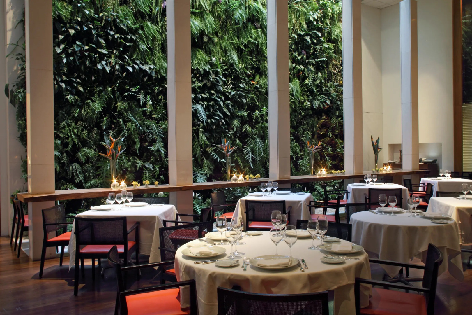 Photo - Emiliano São Paulo