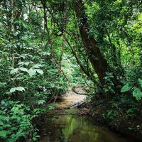 Danta Corcovado Lodge