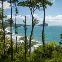 Arenas Del Mar Beachfront & Rainforest Resort