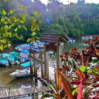 Aguila de Osa Rainforest & Marine Adventure Lodge