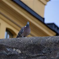 Långholmen Hotell