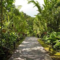 Rio Celeste Hideaway Hotel